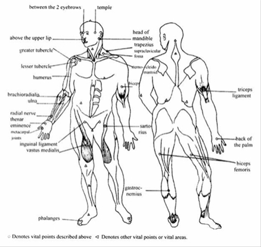 Самые места человека. Джиу-джитсу болевые точки. Анатомическая карта болевых точек. Схема болевых точек на теле. Болевые точки карате.
